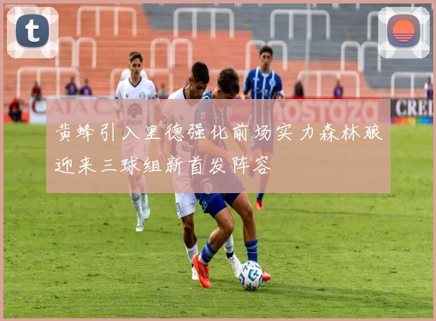 黄蜂引入里德强化前场实力森林狼迎来三球组新首发阵容