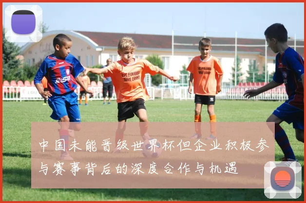 中国未能晋级世界杯但企业积极参与赛事背后的深度合作与机遇