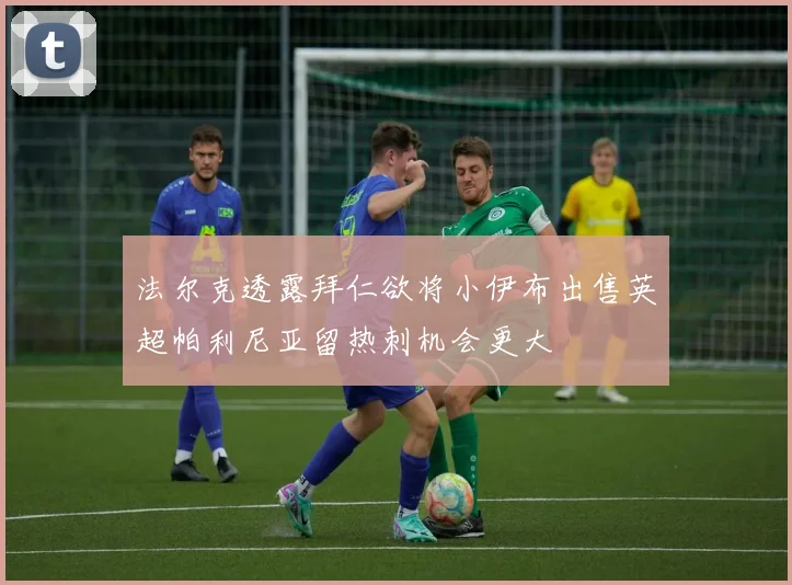 法尔克透露拜仁欲将小伊布出售英超帕利尼亚留热刺机会更大