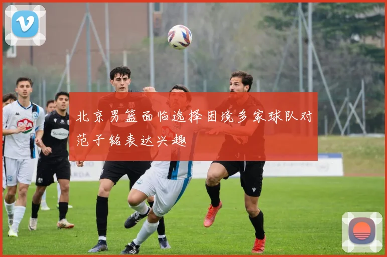 北京男篮面临选择困境多家球队对范子铭表达兴趣
